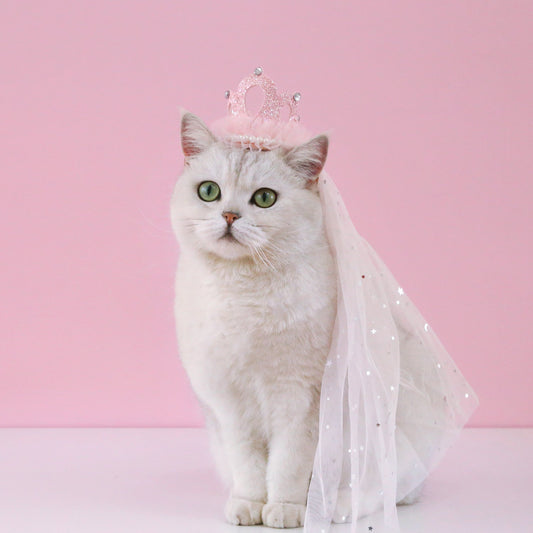 Princess Crown