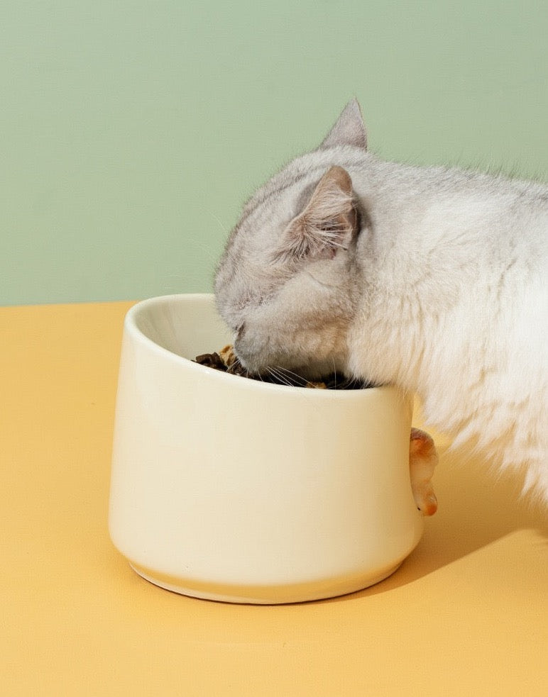 Ceramic Bowl With Caven Cat