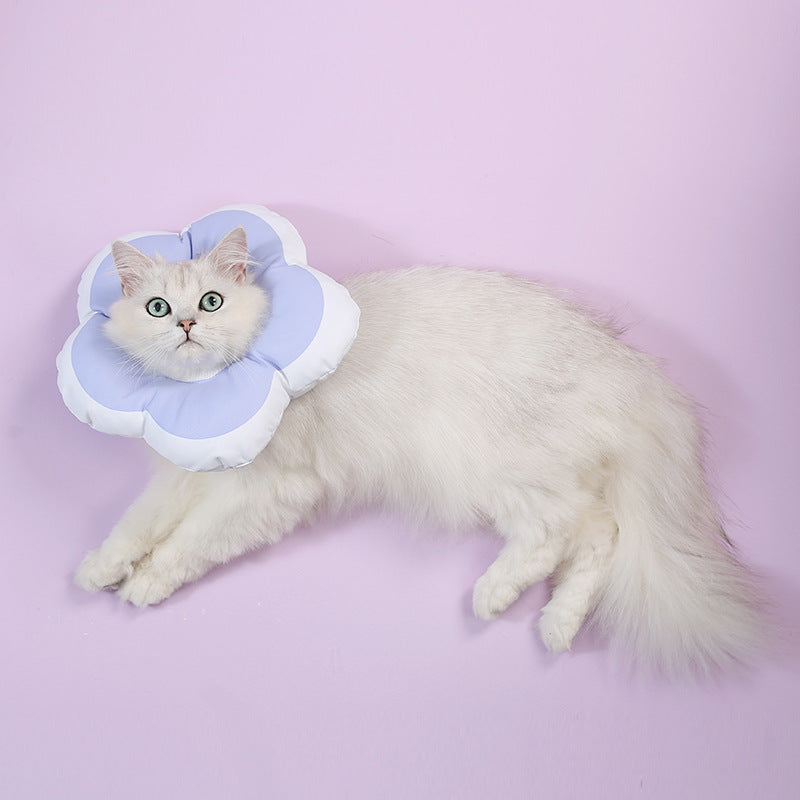 Waterproof Recovery Collar Purple Flower