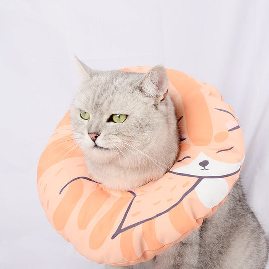 Waterproof Recovery Collar Orange Fox
