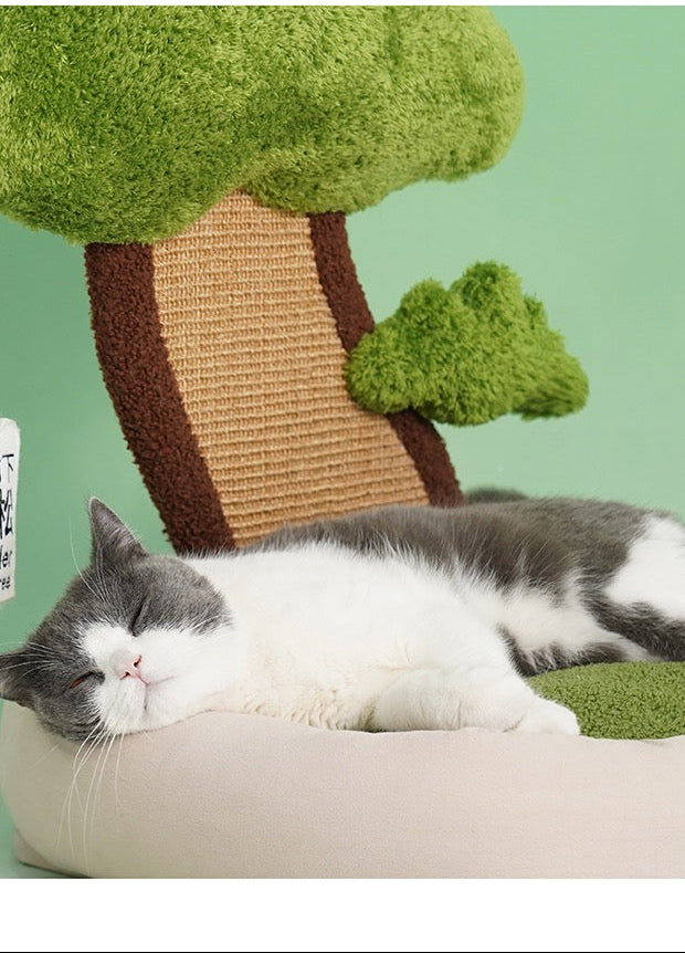 ZEZE Relax Plant Bed-Small