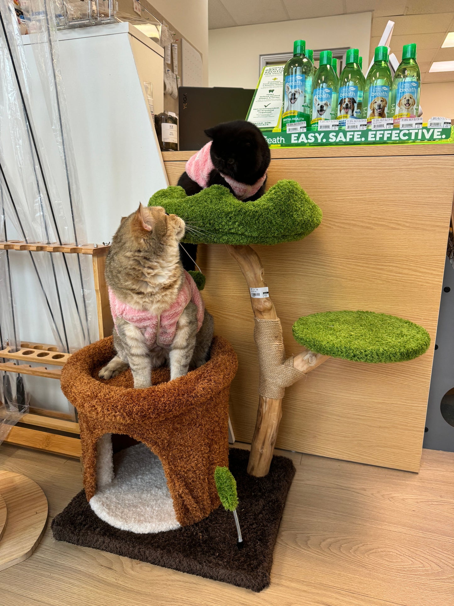 Treehouse Climbing Frame