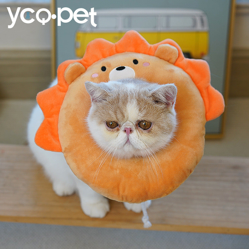Recovery Collar Lion