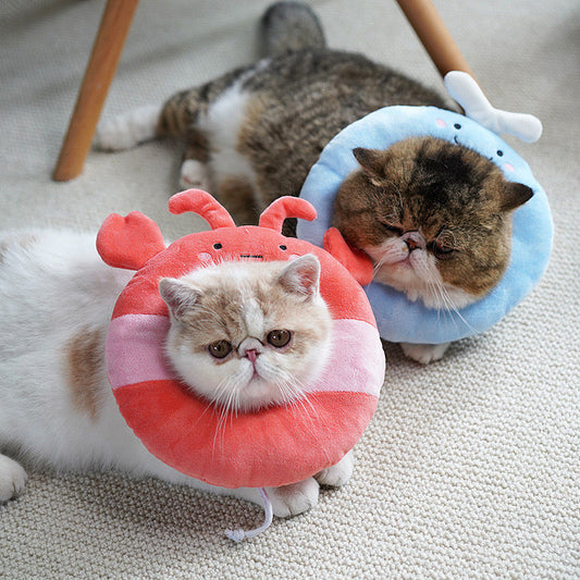 Recovery Collar Lobster