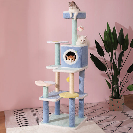 Colorful Sea Cat Tree