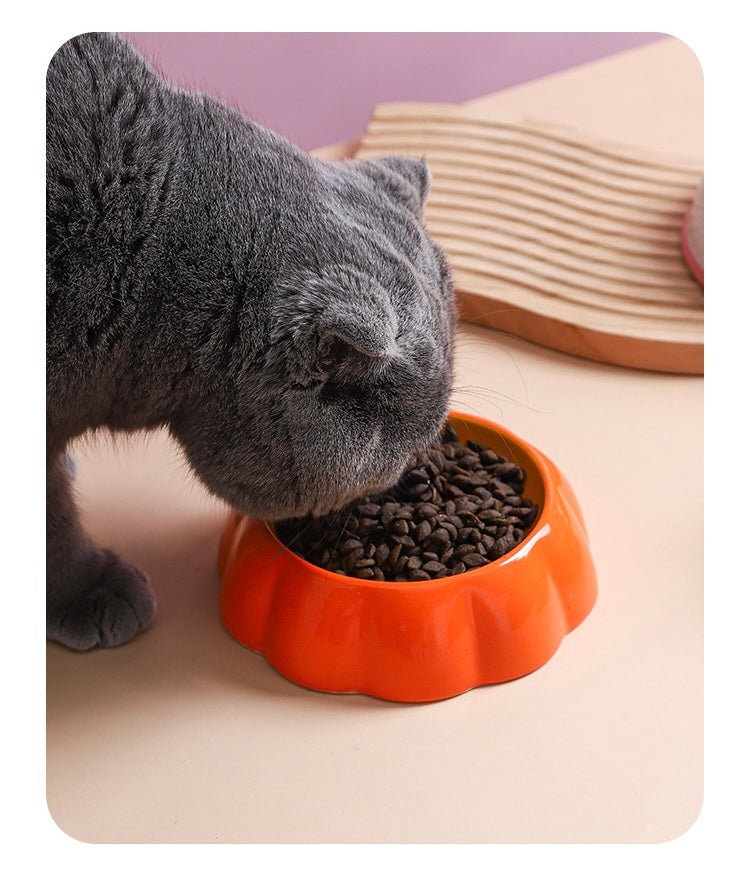 Fruit Flat Cat Bowl