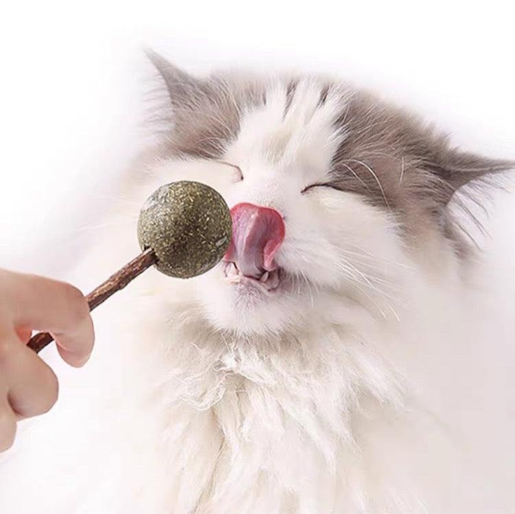 Catnip Lollipop