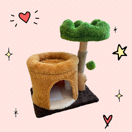 Catry Mini Green Pine Tree