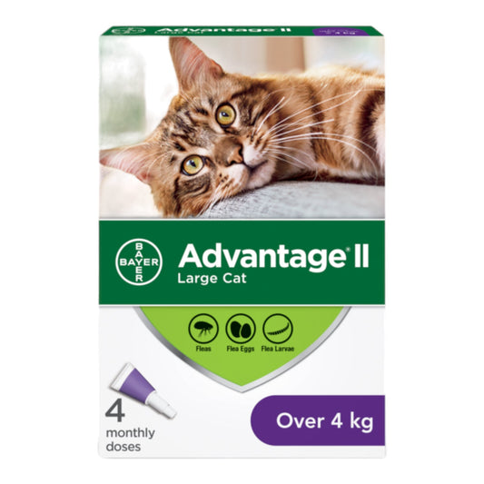 Bayer Advantage II Flea Protection For Cats 4kg+ 4-Dose