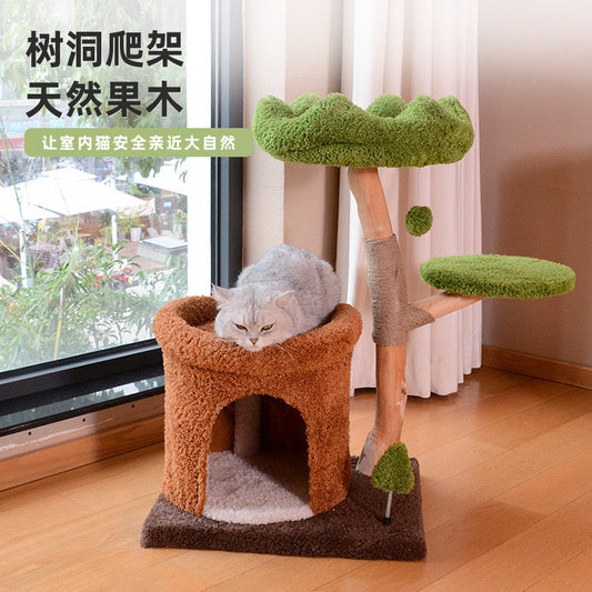 Treehouse Climbing Frame