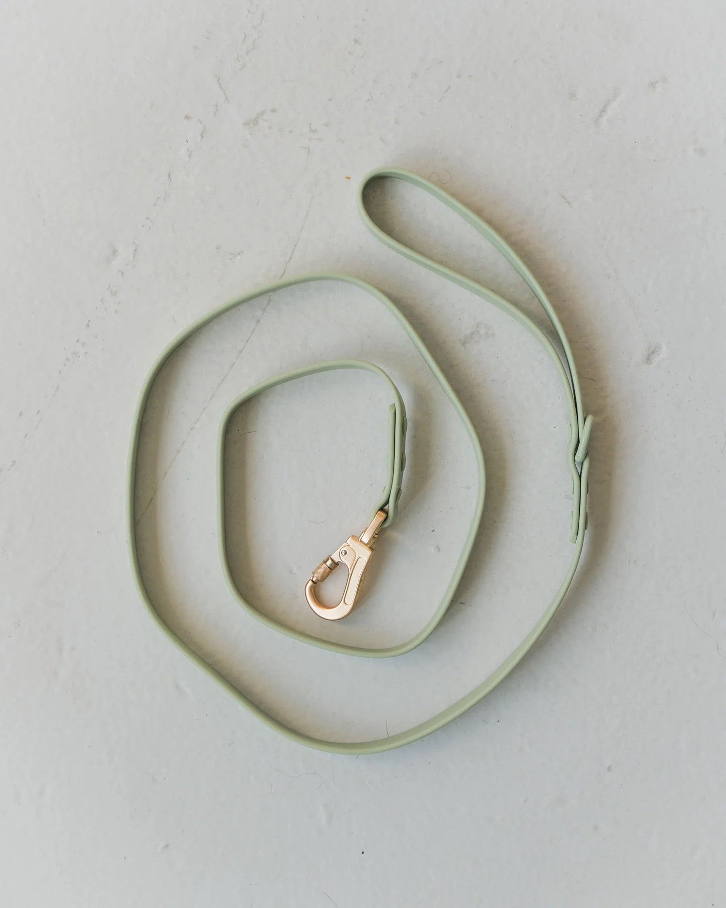 Dexypaws Waterproof Dog Leash in Sage Green