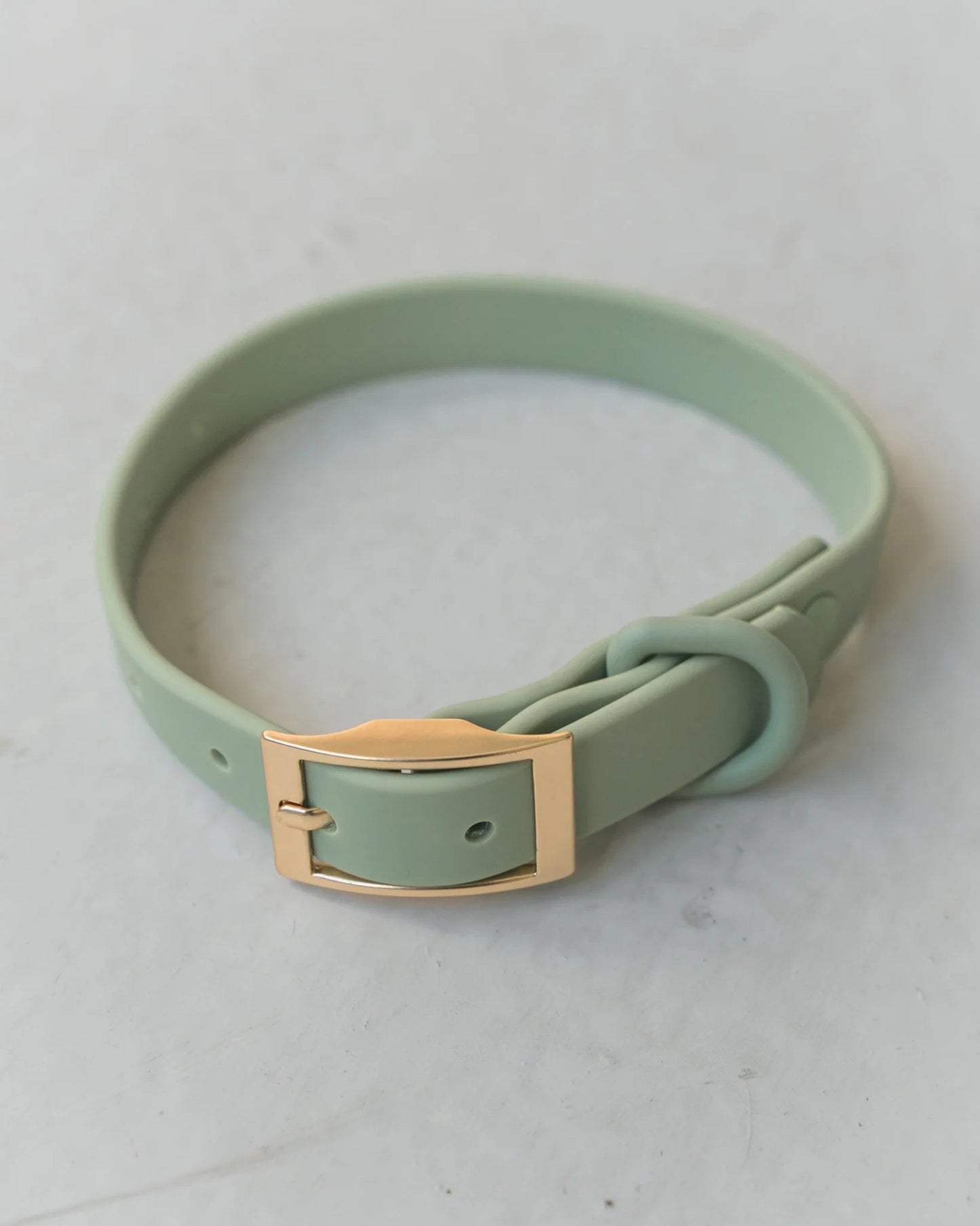 Dexypaws Waterproof Dog Collar in Sage Green