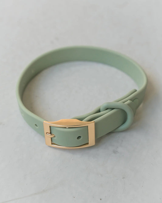 Dexypaws Waterproof Dog Collar in Sage Green