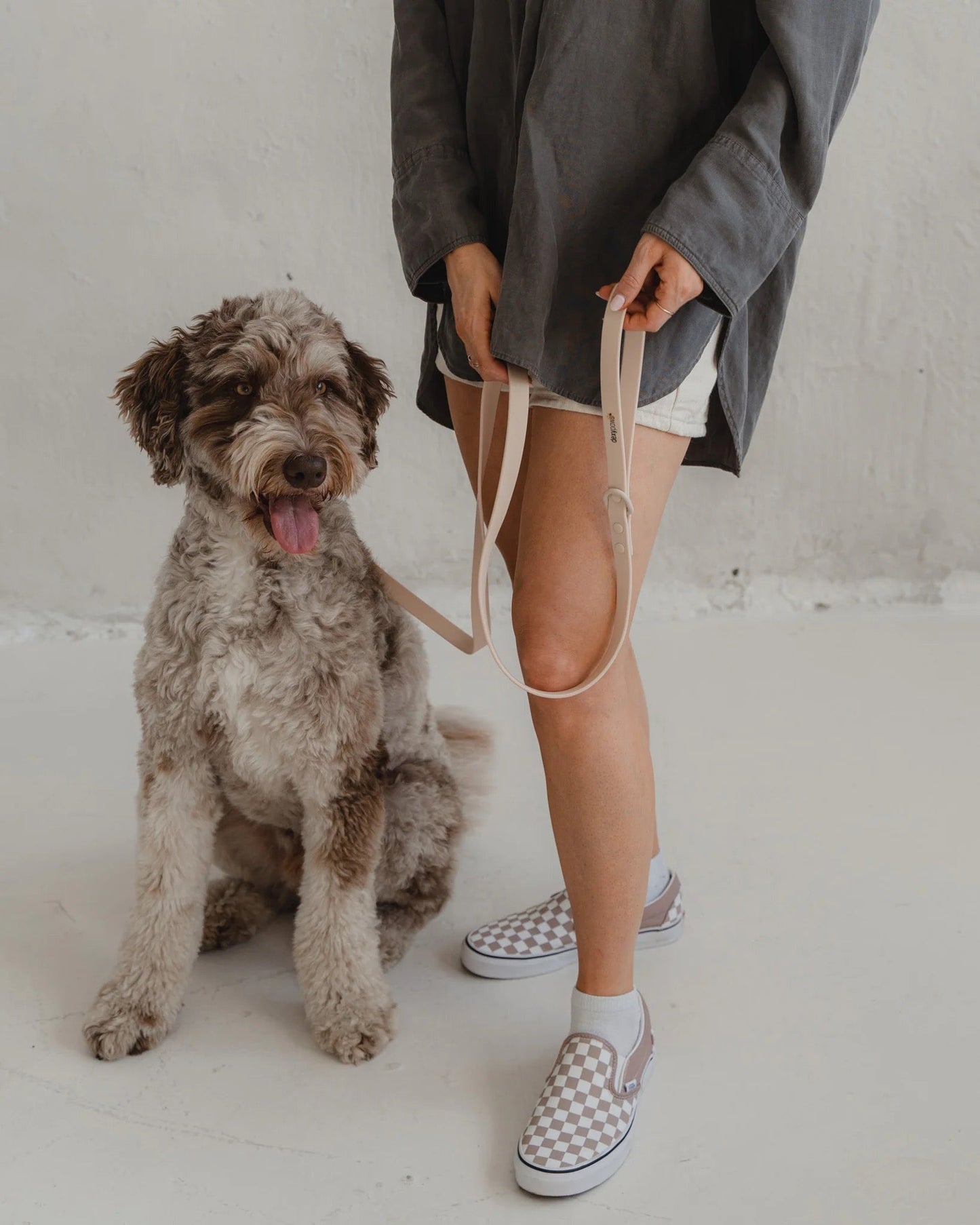 Dexypaws Waterproof Dog Leash in Nude
