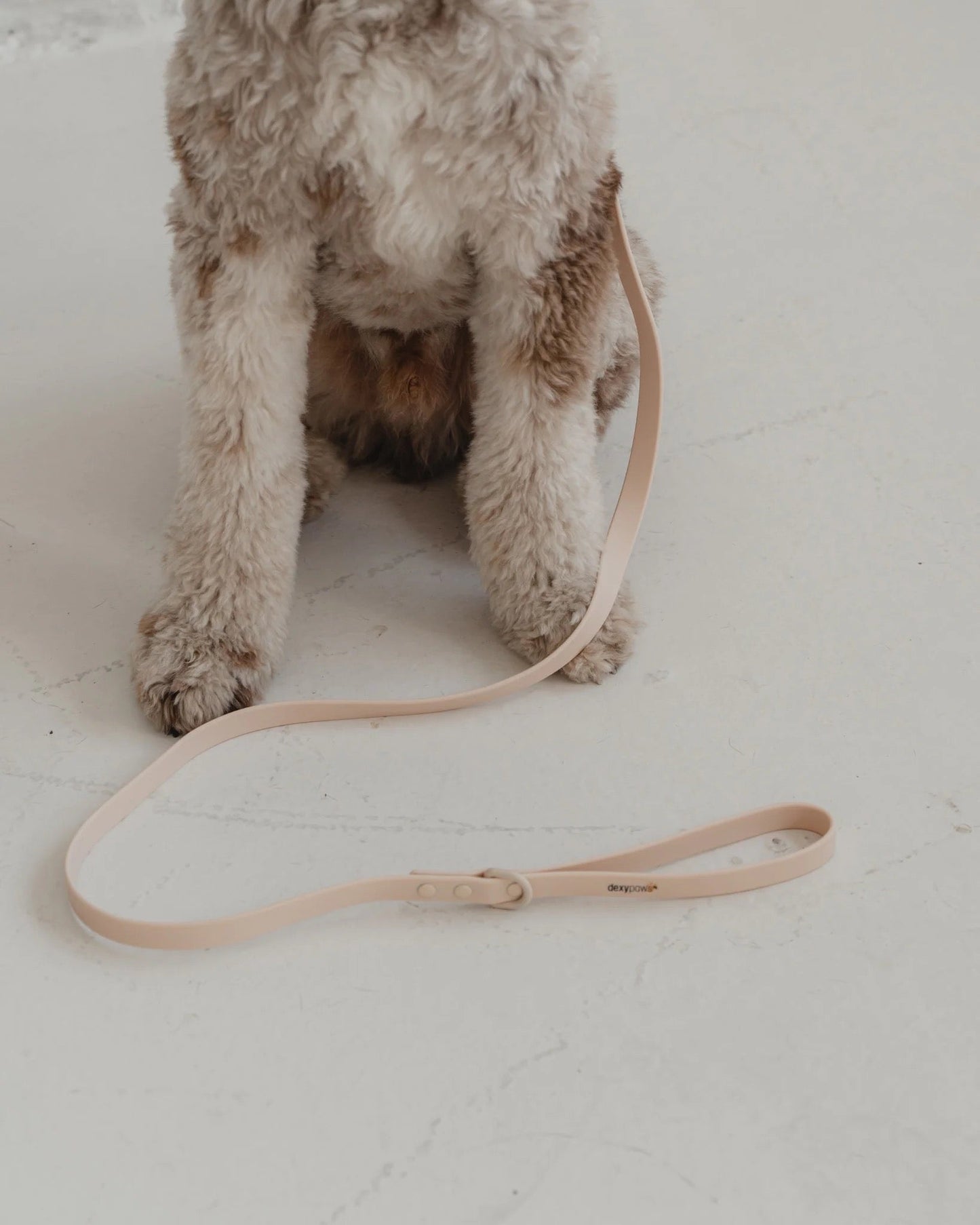 Dexypaws Waterproof Dog Leash in Nude