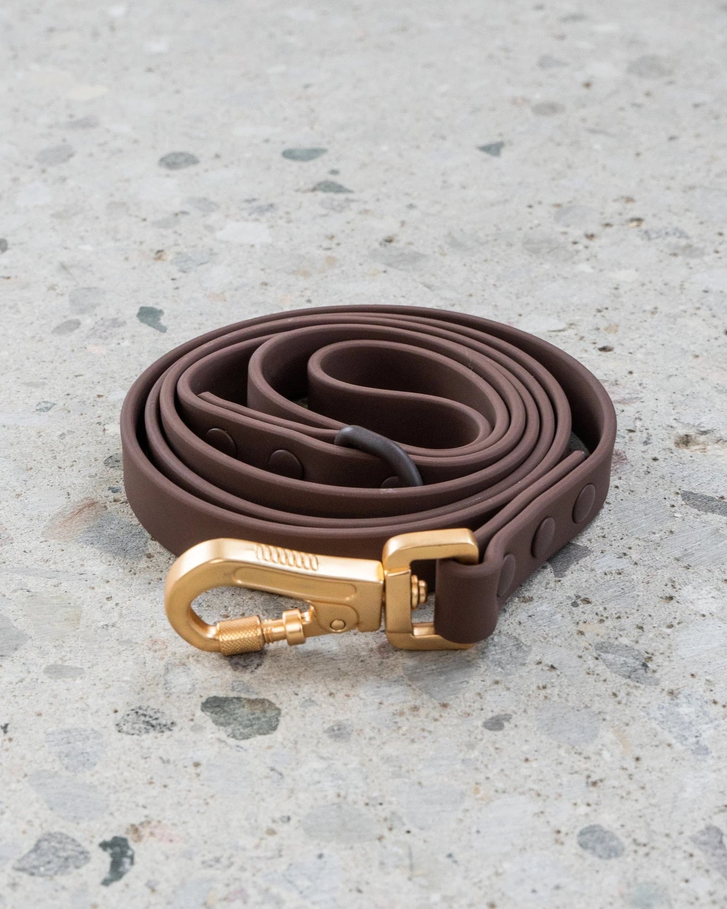 Dexypaws Waterproof Dog Leash in Espresso