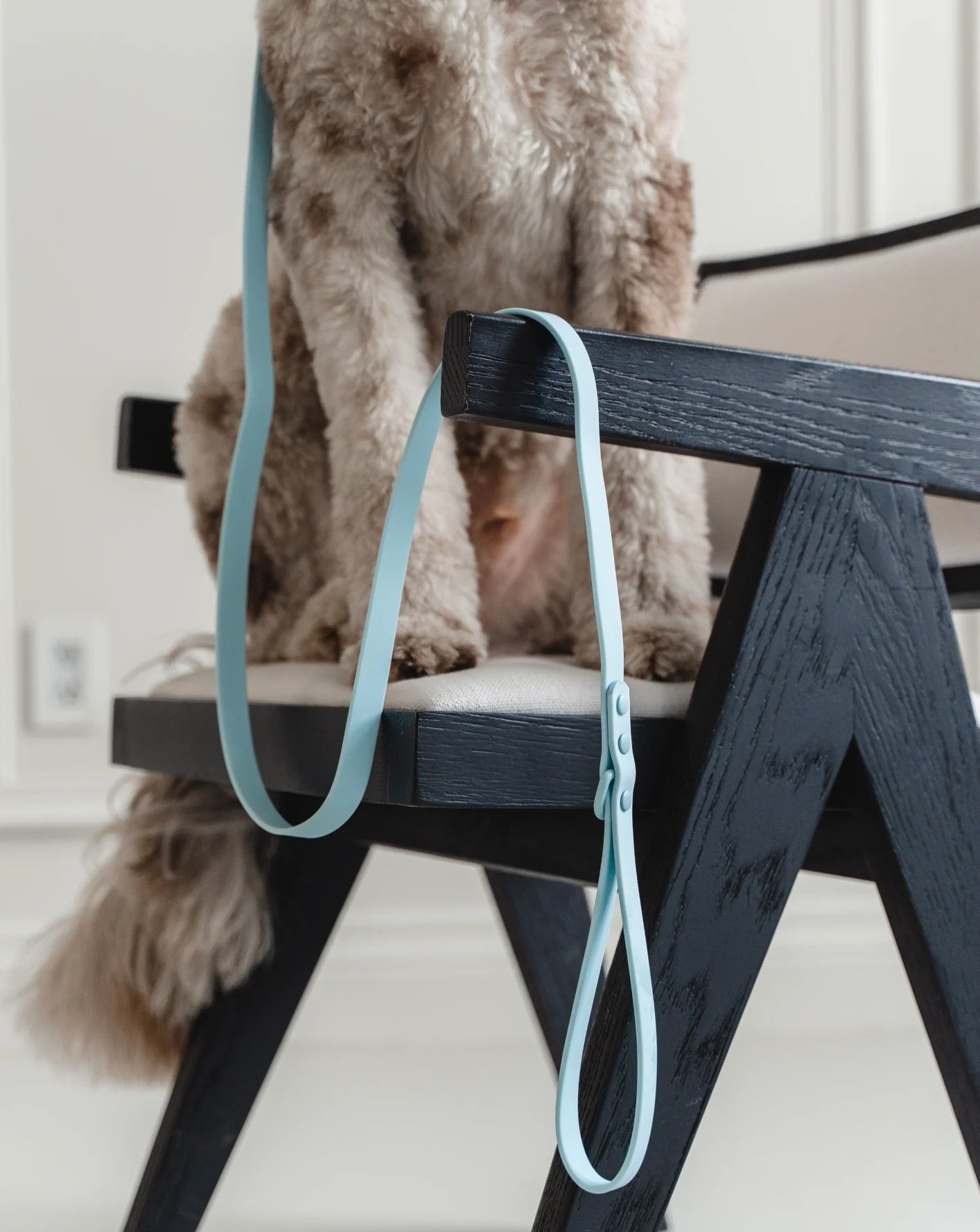 Dexypaws Waterproof Dog Leash in Sky Blue