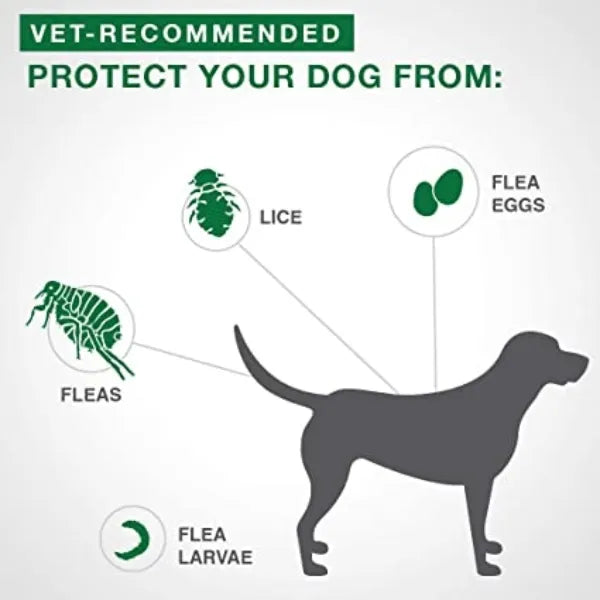 Bayer Advantage II Flea Protection For Dogs 11kg-25kg 4-Dose