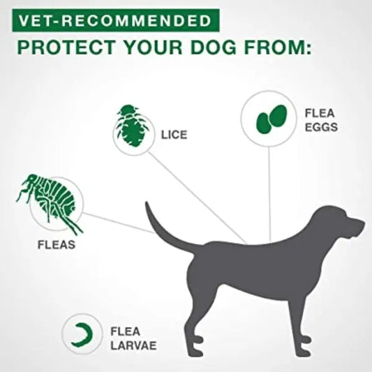 Bayer Advantage II Flea Protection For Dogs 11kg-25kg 4-Dose