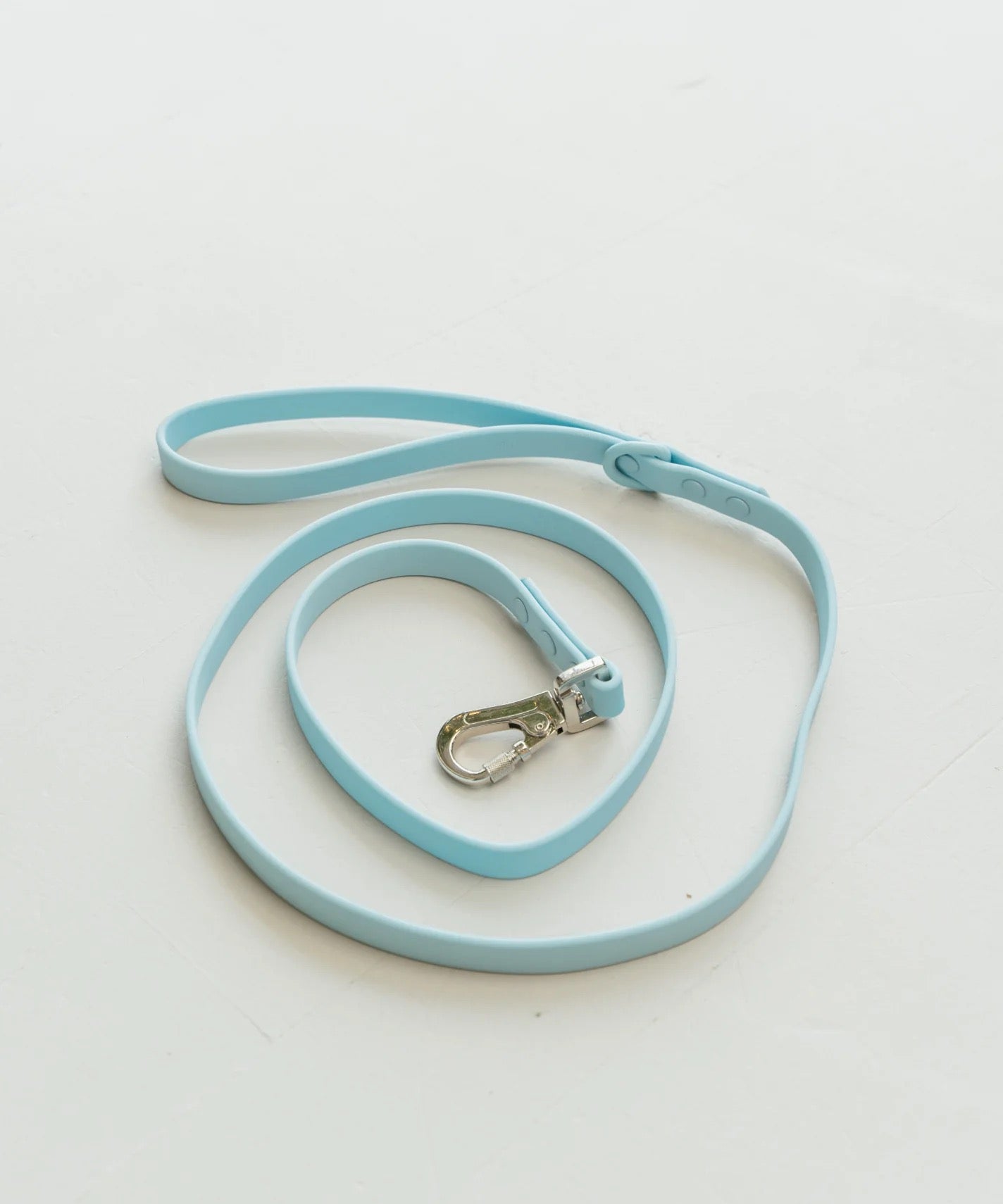 Dexypaws Waterproof Dog Leash in Sky Blue